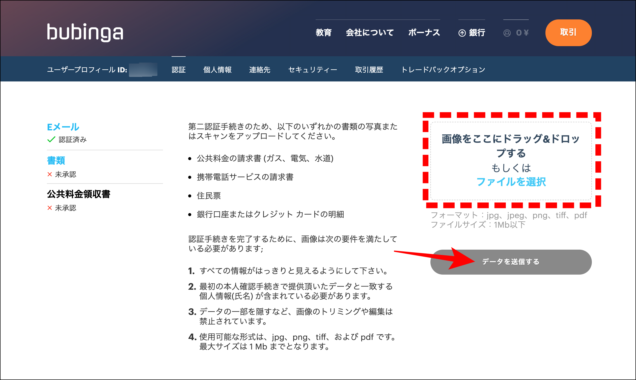 ブビンガバイナリーの使い方｜口座開設の流れと失敗しないためのコツ