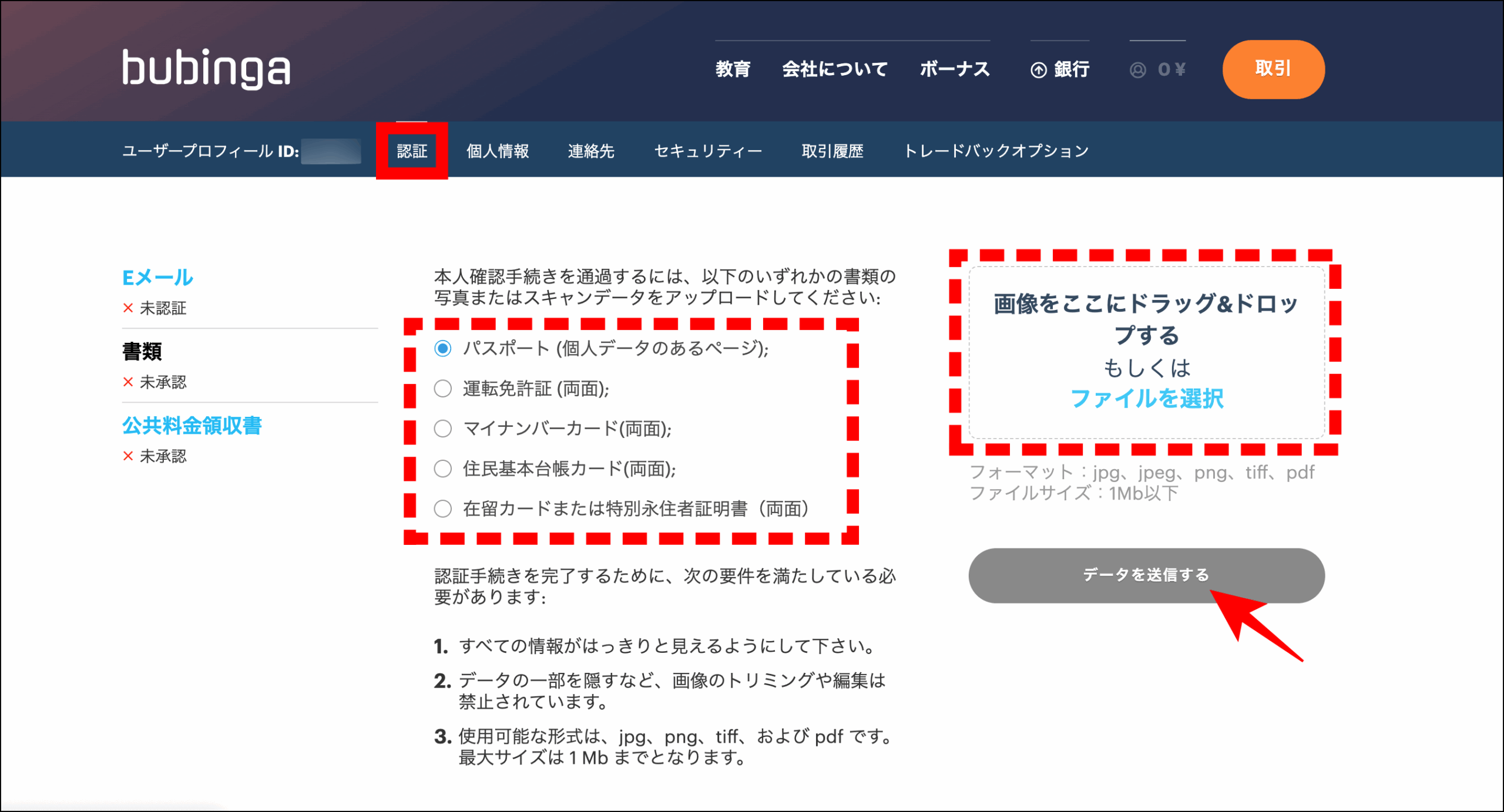 ブビンガバイナリーの使い方｜口座開設の流れと失敗しないためのコツ